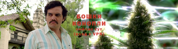гидра Иннополис