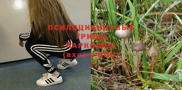 МДПВ Чекалин