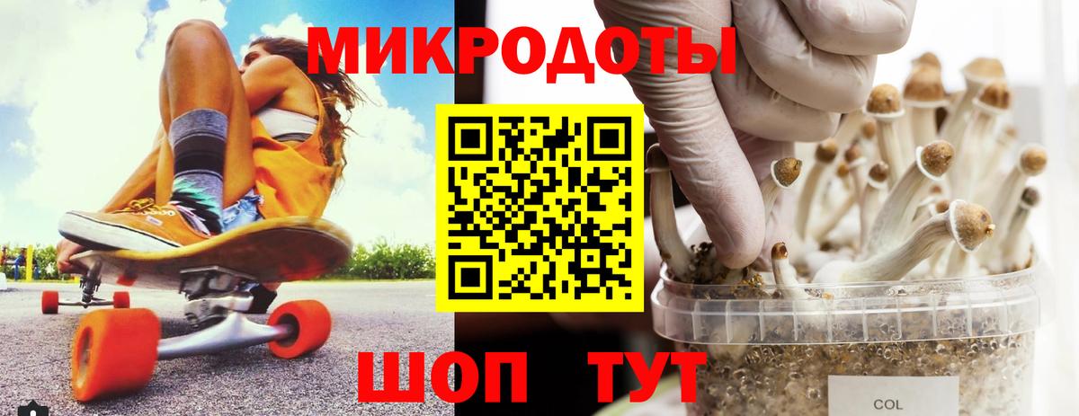 Новокузнецк  Галлюциногенные грибы Psilocybe  где купить наркоту  Вход с VPN 