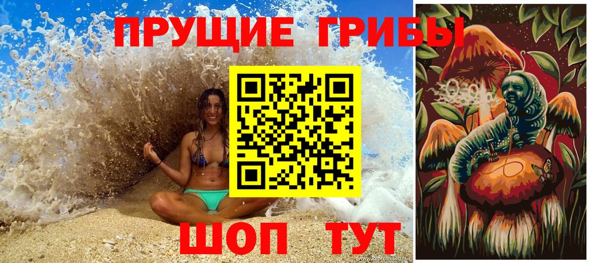 Галлюциногенные грибы Cubensis Новокузнецк
